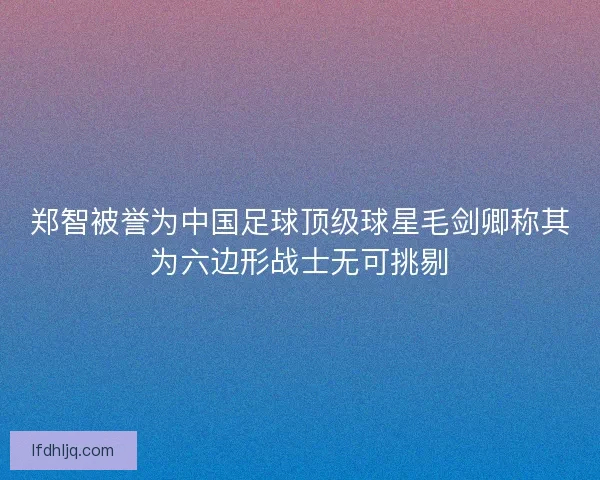 郑智被誉为中国足球顶级球星毛剑卿称其为六边形战士无可挑剔 郑智被誉为中国足球顶级球星毛剑卿称其为六边形战士无可挑剔